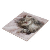 Kitten Sleeping op handdoek Tegeltje (Zijkant)