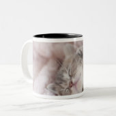 Kitten Sleeping op handdoek Tweekleurige Koffiemok (Voorkant links)