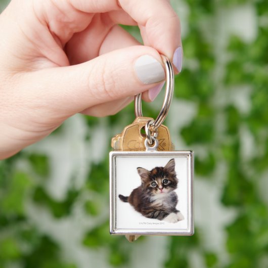 Kitten Sleutelhanger (Hand)