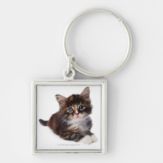 Kitten Sleutelhanger (Voorkant)