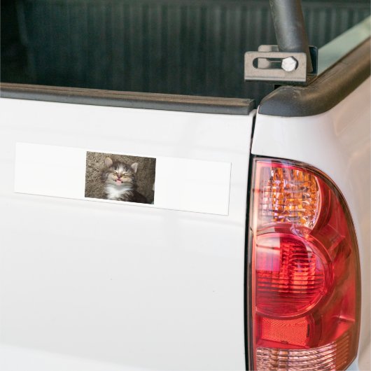 Kitten Smile Bumpersticker (Op Truck)