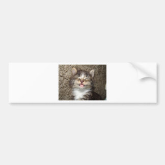 Kitten Smile Bumpersticker