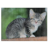 Kitten Snijplank (Voorkant)