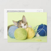 Kitten spelen garen briefkaart (Voorkant / Achterkant)