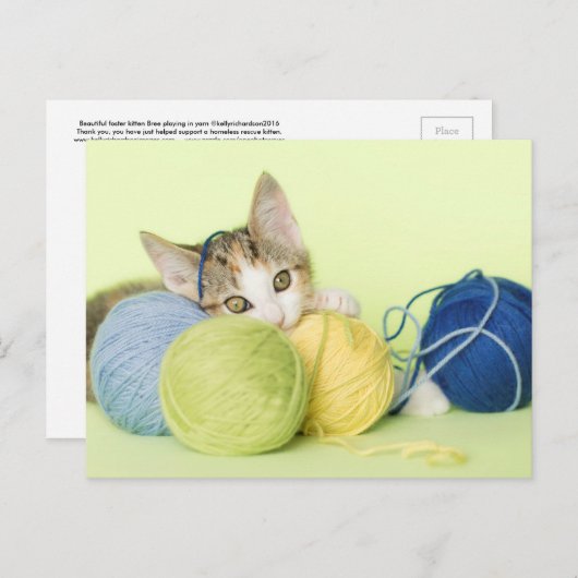 Kitten spelen garen briefkaart (Voorkant / Achterkant)