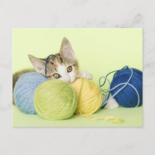 Kitten spelen garen briefkaart