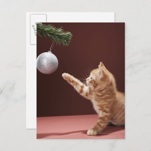 Kitten Spelen met Ornament Briefkaart (Voorkant / Achterkant)