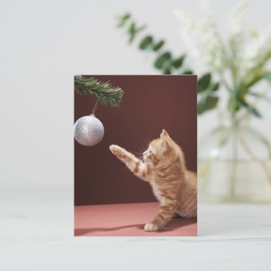 Kitten Spelen met Ornament Briefkaart (Staand voorkant)
