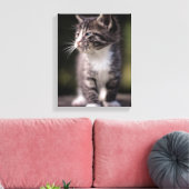 Kitten Standing Tall Canvas Afdruk (Insitu (Woonkamer))