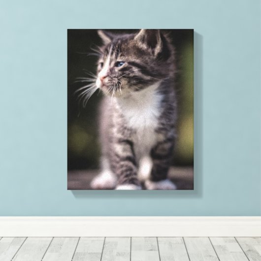 Kitten Standing Tall Canvas Afdruk (Insitu (Houten vloer))