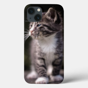 Kitten Standing Tall Case-Mate iPhone Case