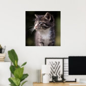 Kitten Standing Tall Poster (Thuiskantoor)