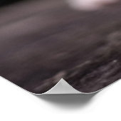 Kitten Standing Tall Poster (Hoek)