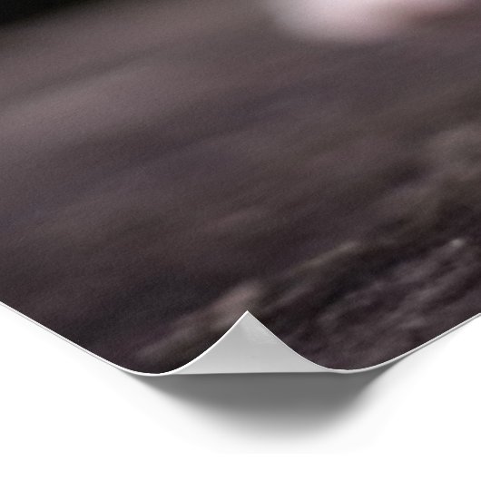 Kitten Standing Tall Poster (Hoek)