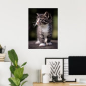 Kitten Standing Tall Poster (Thuiskantoor)