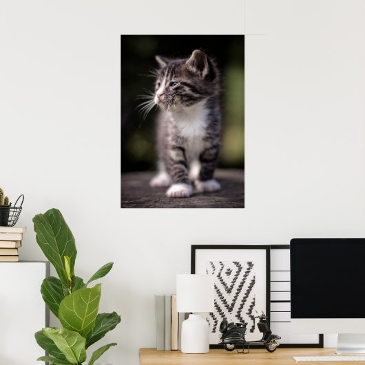 Kitten Standing Tall Poster (Thuiskantoor)