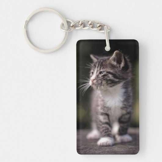 Kitten Standing Tall Sleutelhanger (Voorkant)