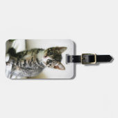 Kitten Stare Bagagelabel (Voorkant horizontaal)