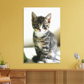Kitten Stare Canvas Afdruk (Insitu (Woonkamer))