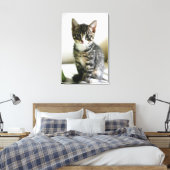 Kitten Stare Canvas Afdruk (Insitu (Slaapkamer))