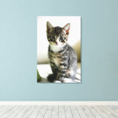 Kitten Stare Canvas Afdruk (Insitu (Houten vloer))