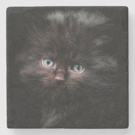 Kitten Stenen Onderzetter