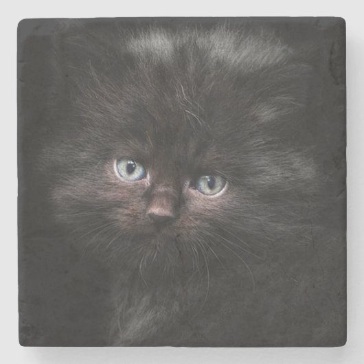 Kitten Stenen Onderzetter (Voorkant)