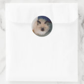 Kitten Sticker (Tas)