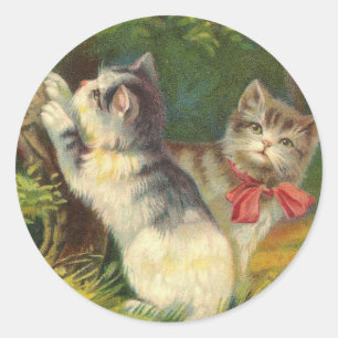  kitten Stickers