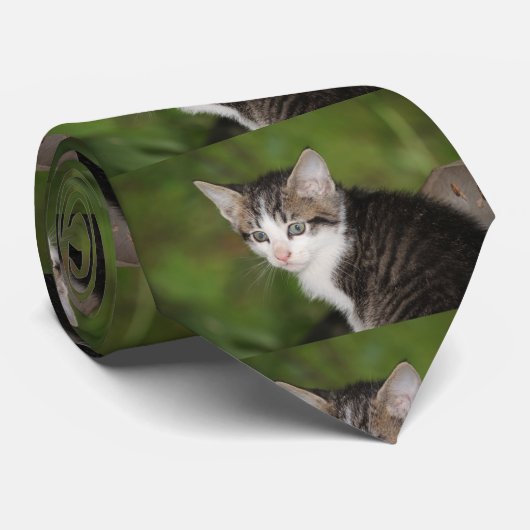 Kitten Stropdas (Opgerold)