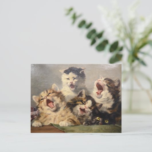 Kitten Symfonie door Julius Adam II Briefkaart (Staand voorkant)