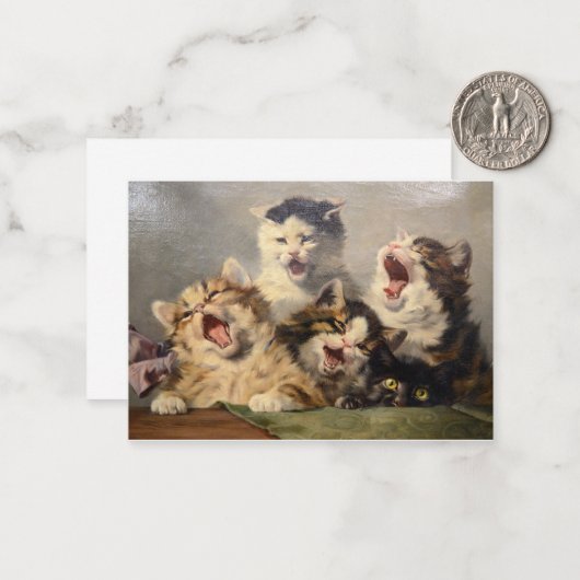 Kitten Symfonie door Julius Adam II Notitiekaartje (Voorkant / Achterkant in situ)