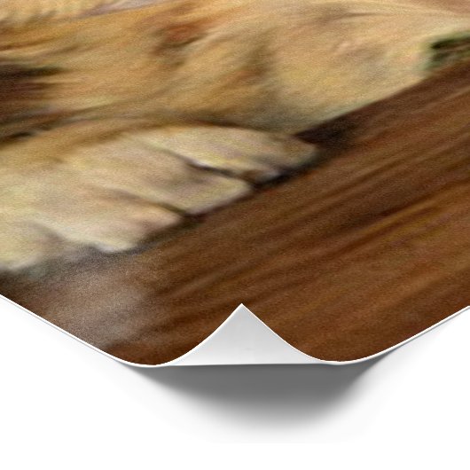 Kitten Symfonie door Julius Adam II Perfect Poster (Hoek)