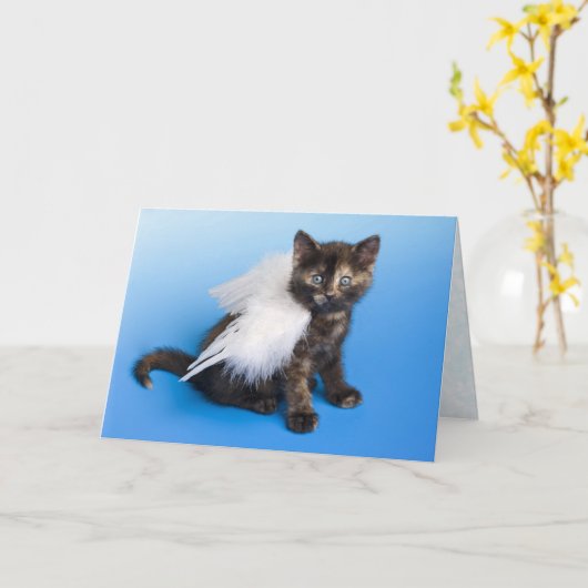 Kitten Sympathcard Kaart (Gele Bloem)