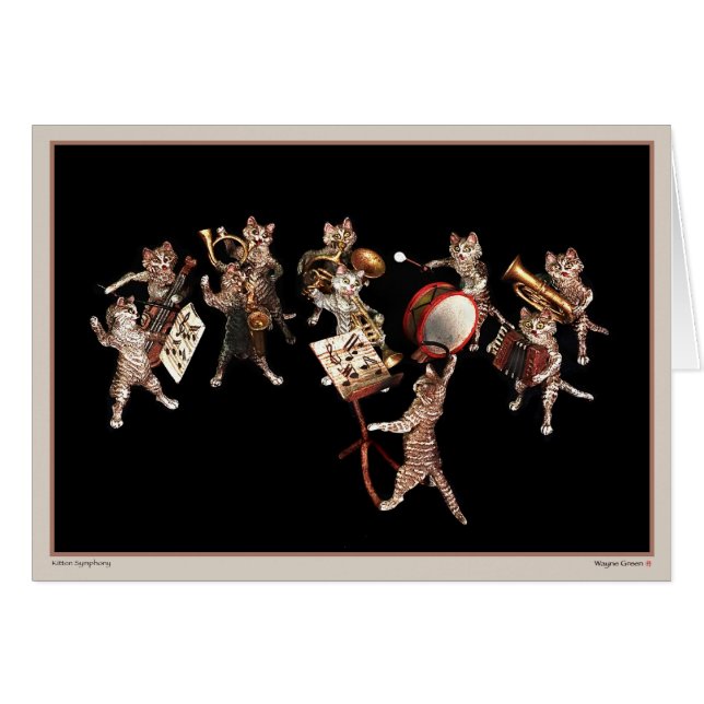 Kitten Symphony (Voorkant Horizontaal)