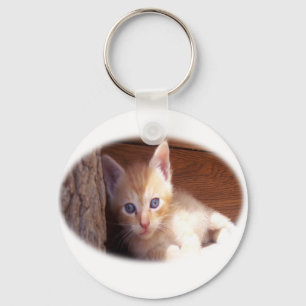 Kitten t-shirts en super mix sleutelhanger