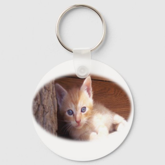 Kitten t-shirts en super mix sleutelhanger (Voorkant)