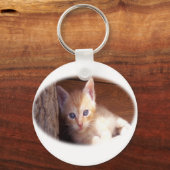 Kitten t-shirts en super mix sleutelhanger (Voorkant)