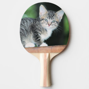 Kitten Tafeltennisbatje