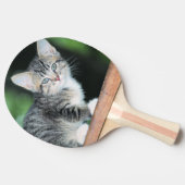 Kitten Tafeltennisbatje (Zijkant)