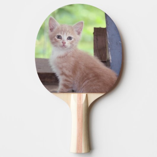 Kitten Tafeltennisbatje (Voorkant)