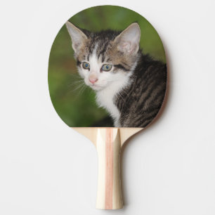 Kitten Tafeltennisbatje