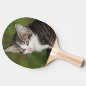 Kitten Tafeltennisbatje (Zijkant)