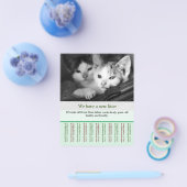 kitten te koop flyer sjablonen (Enkel)