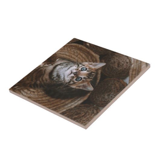 Kitten Tegeltje (Zijkant)