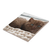 Kitten Tegeltje (Zijkant)