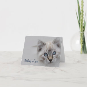 Kitten Thinking of You Card - Bedankkaart