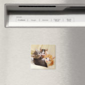 Kitten Trio Magnet (Insitu (Vaatwasser))