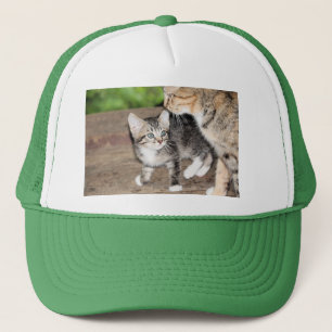Kitten Trucker Pet