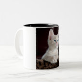 Kitten twee afgezwakte koffie mok. tweekleurige koffiemok (Voorkant links)